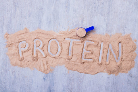 Top 5 Whey Protein Brands in 2023