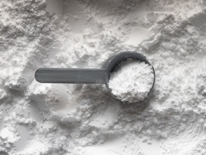 Best Creatine Supplements for 2021 - Discount Supplements