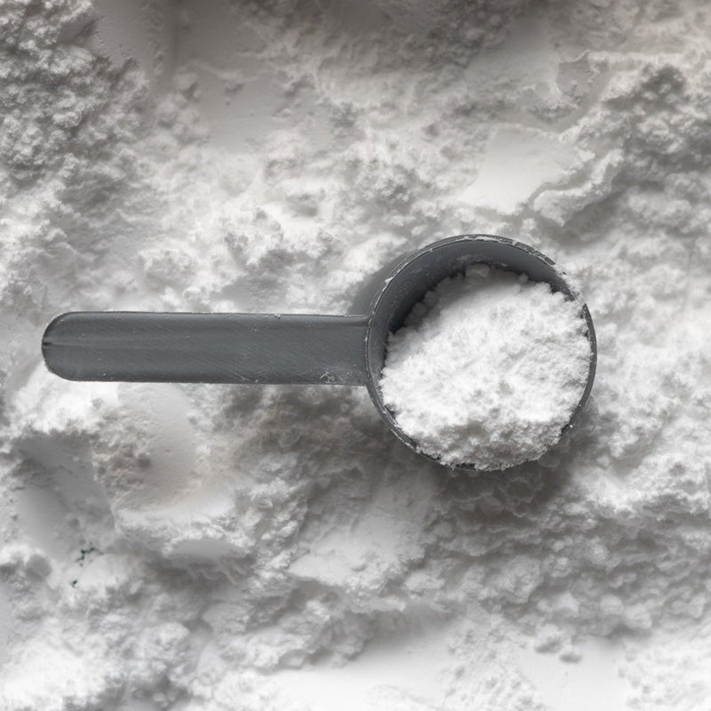 Best Creatine Supplements for 2021 - Discount Supplements