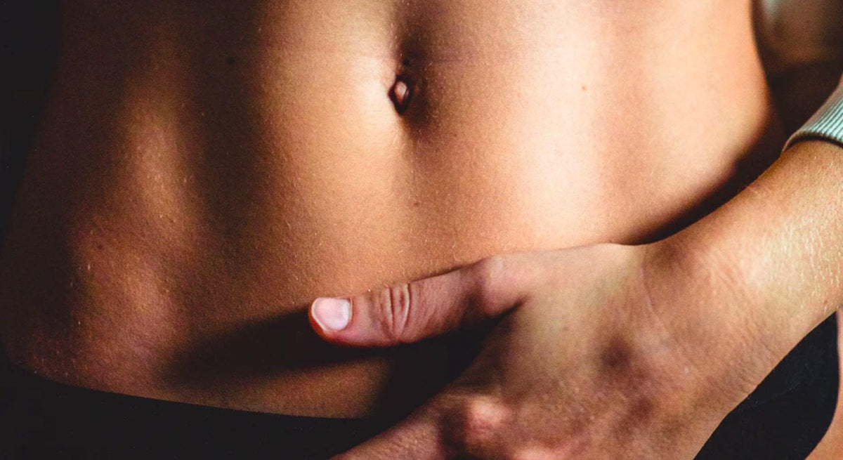 does l carnitine cause bloating Role of carnitine in disease | Nutrition & Metabolism main image 0