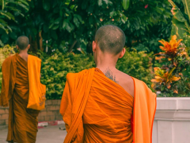 Eating Like A Shaolin Monk : Some Of The Most Conditioned People On The Planet - Discount Supplements