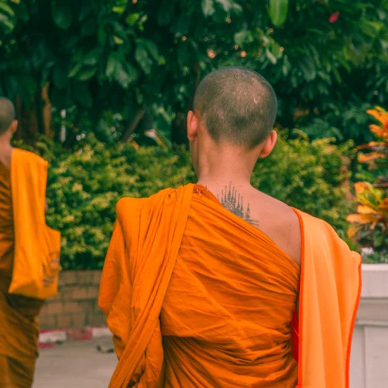 Eating Like A Shaolin Monk : Some Of The Most Conditioned People On The Planet - Discount Supplements