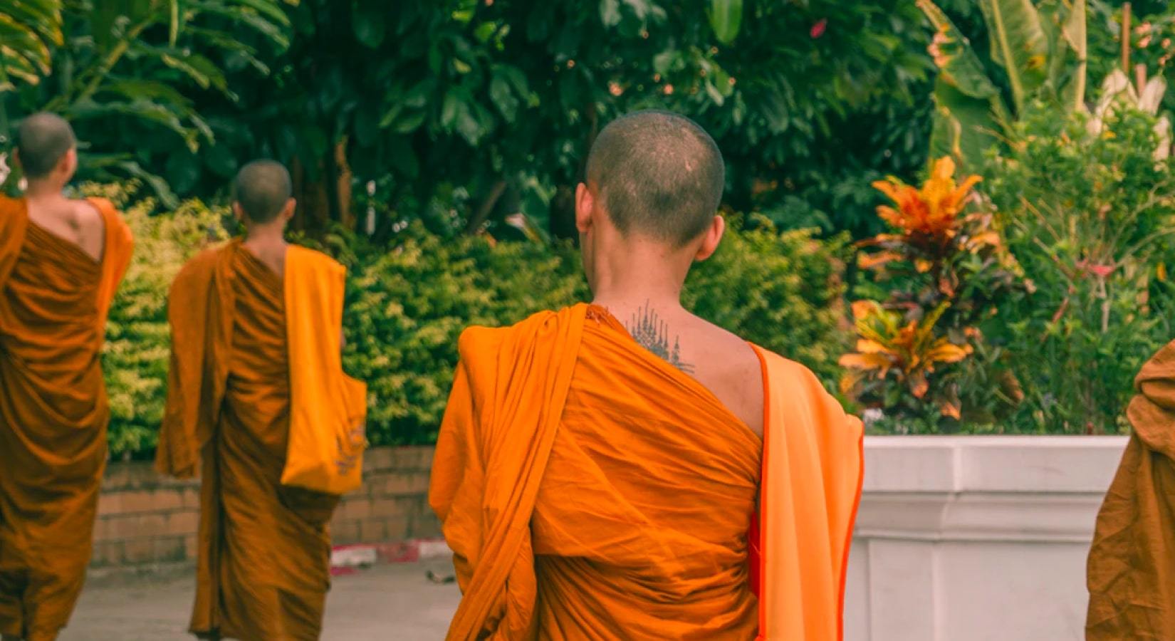 Eating Like A Shaolin Monk : Some Of The Most Conditioned People On The Planet - Discount Supplements