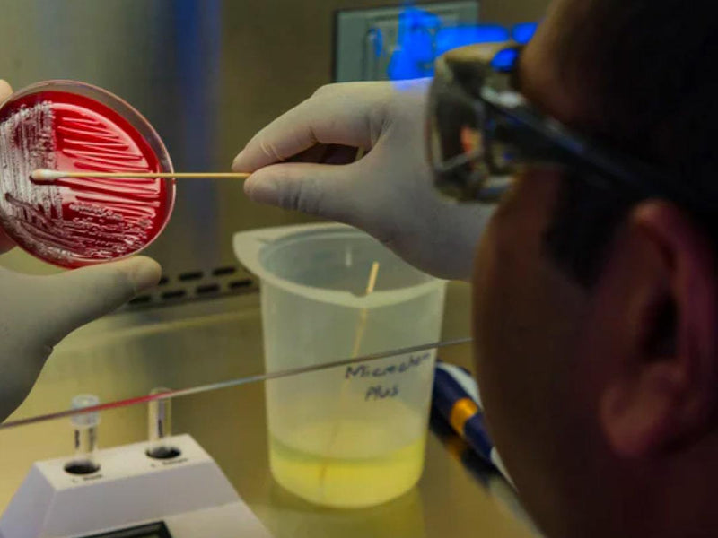 Stay Clean During Compulsory Drug Testing (CDT): Know Where To Look - Discount Supplements