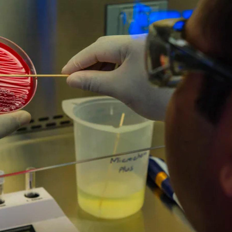 Stay Clean During Compulsory Drug Testing (CDT): Know Where To Look - Discount Supplements