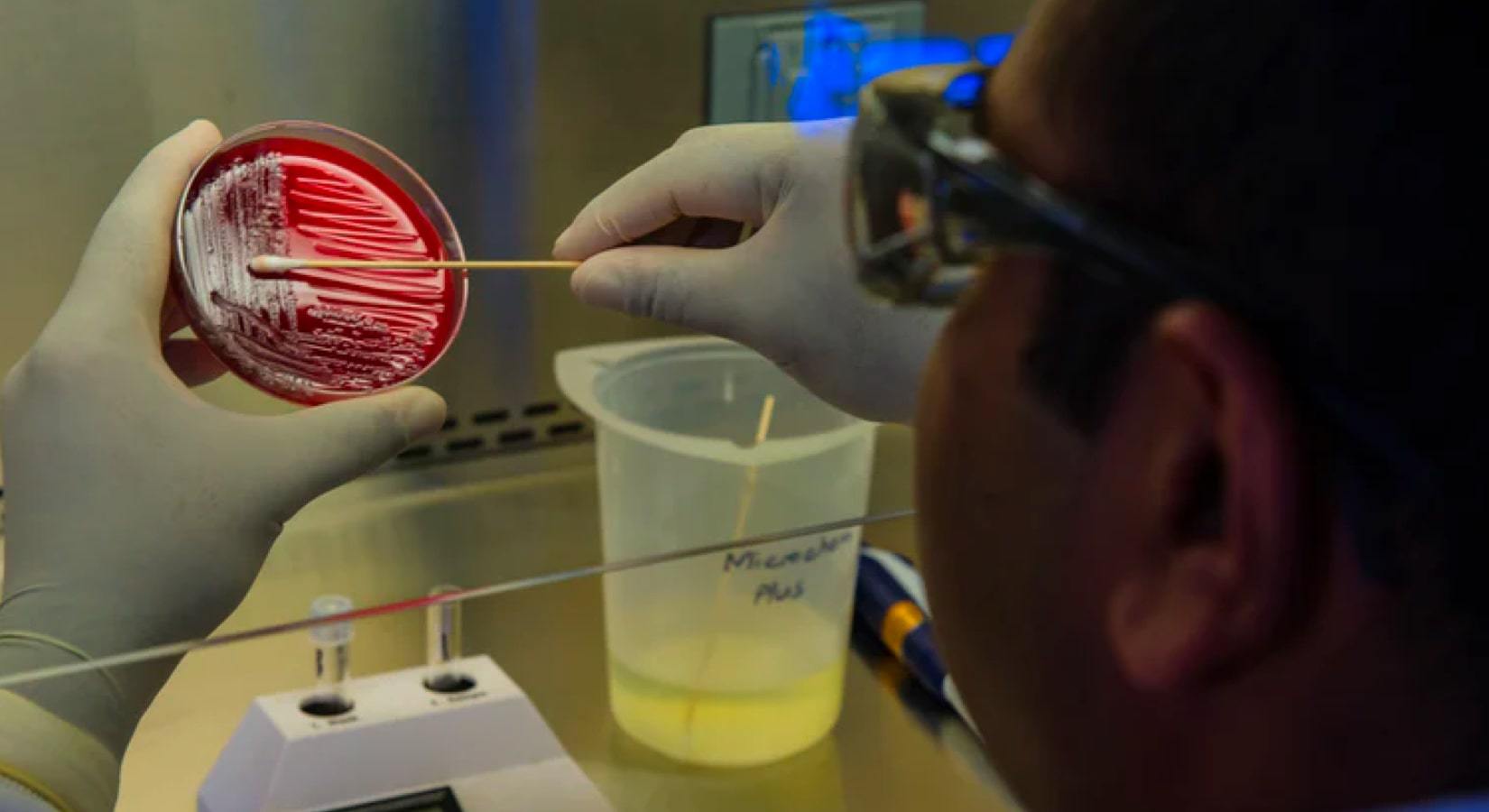 Stay Clean During Compulsory Drug Testing (CDT): Know Where To Look - Discount Supplements