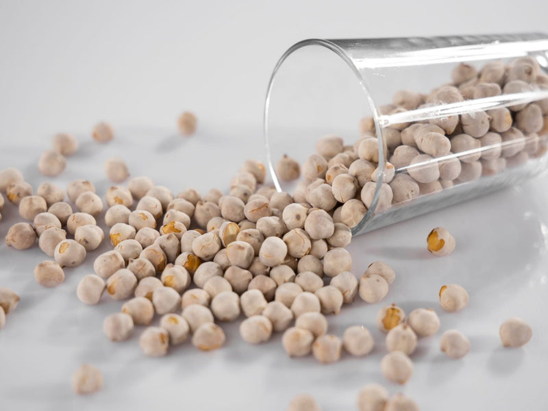 Vegan Protein Sources: The Best Plant-based Protein Sources - Discount Supplements