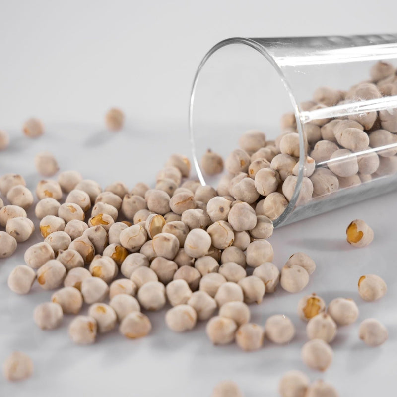 Vegan Protein Sources: The Best Plant-based Protein Sources - Discount Supplements