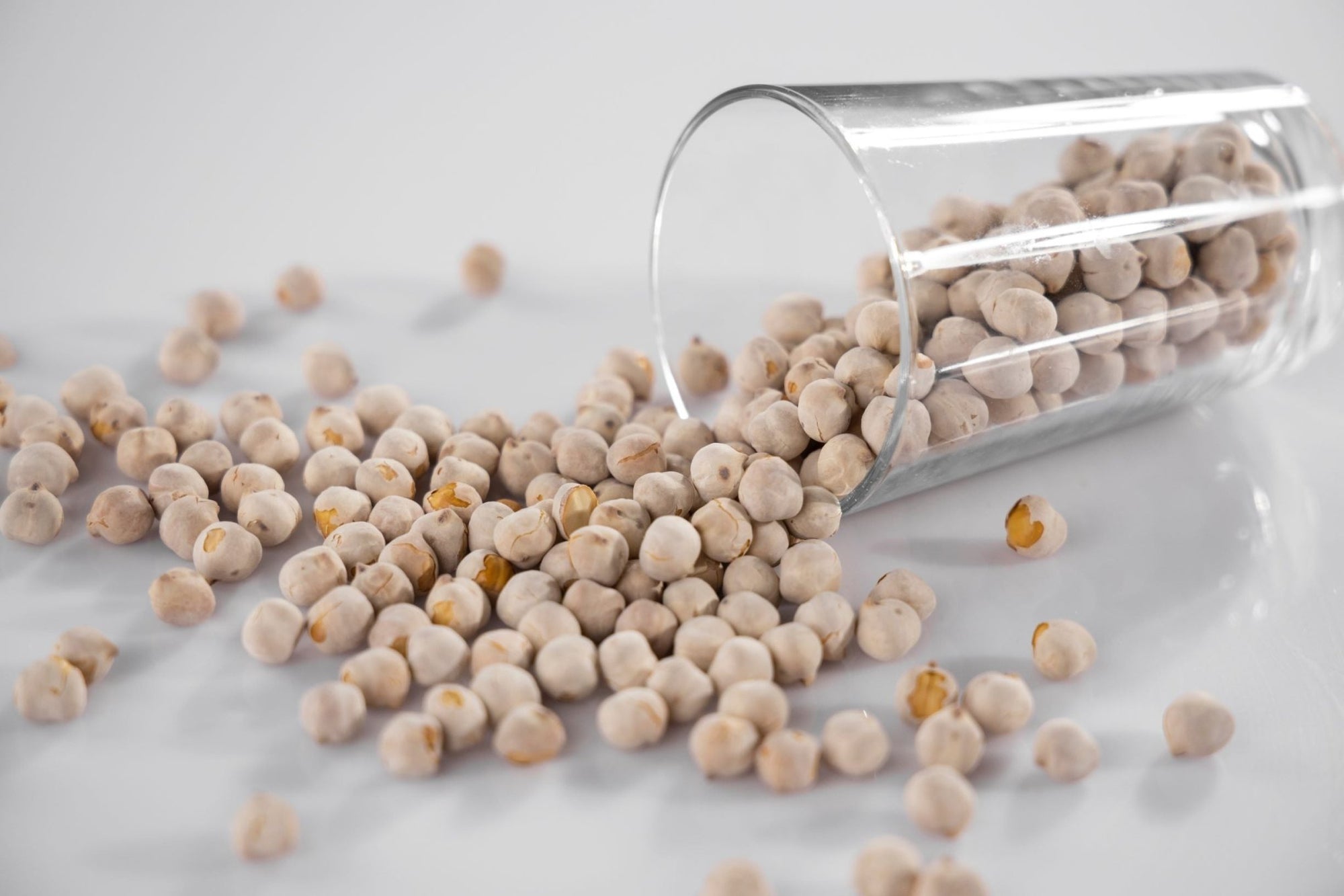 Vegan Protein Sources: The Best Plant-based Protein Sources - Discount Supplements