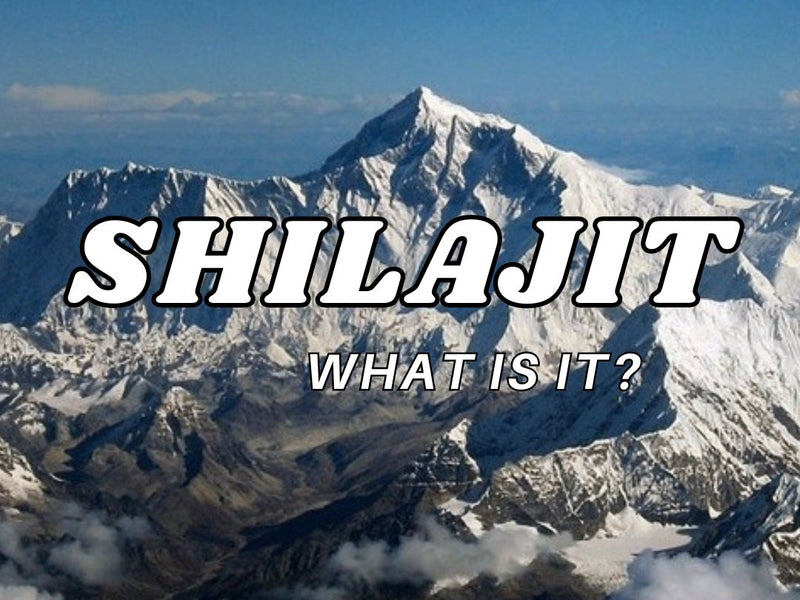 What is Shilajit? - Discount Supplements