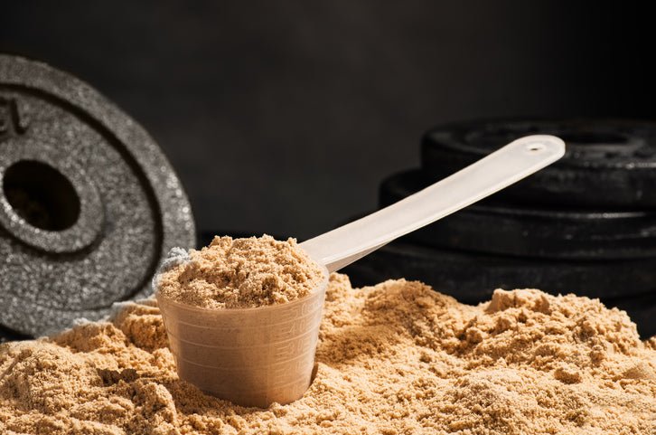 What Is Whey Protein? - Discount Supplements