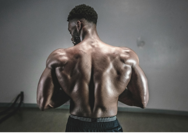 Trained By JP X TBJP