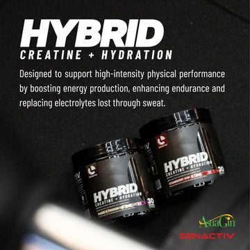 Efectiv Nutrition Hybrid Creatine + Hydration 300g